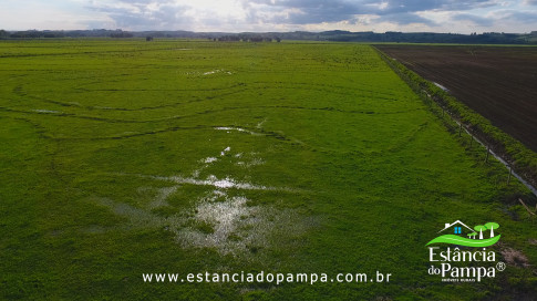 DOS EÓLICOS VIRA P FAZENDA_Moment.00_06_42_03.Quadro280_7778e3ed34b3818ebe1bde5cfadf084fb33339a7.jpg